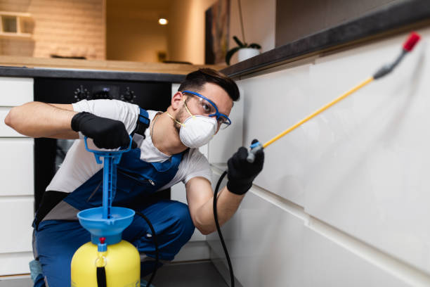Best Bed Bug Extermination  in Shingle Springs, CA