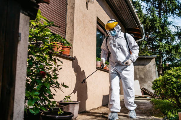 Pest Control for Restaurants in Shingle Springs, CA