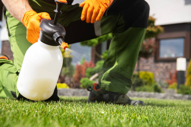 Best Pest Control for Restaurants  in Shingle Springs, CA