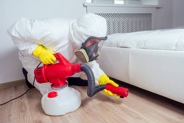 Best Termite Control Services  in Shingle Springs, CA