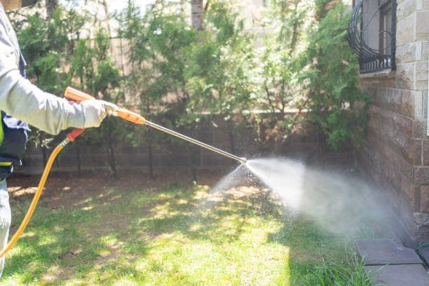 Best Pest Removal Services  in Shingle Springs, CA