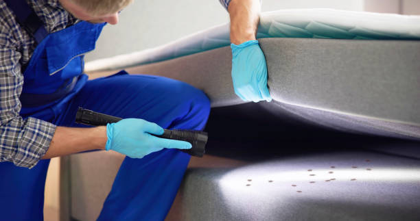 Best Exterminator Services  in Shingle Springs, CA
